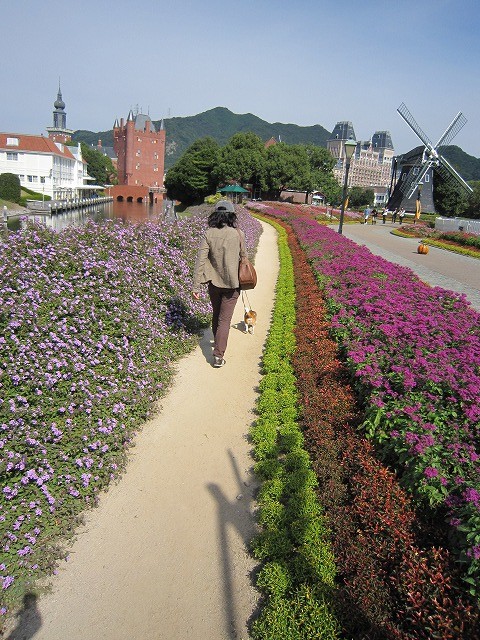 f:id:yasukazu01:20101025210818j:image