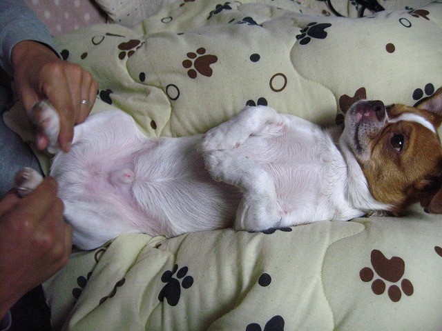 20101126225546