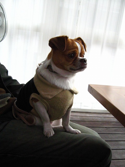 20101129224155