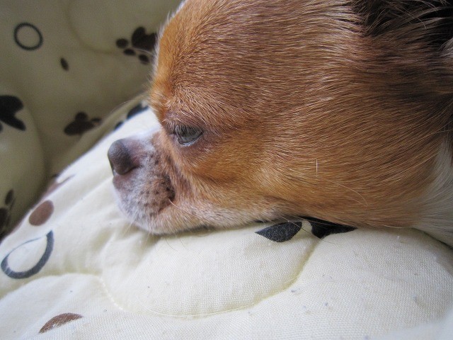 20101227225417