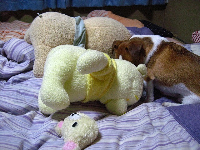 20101228225302
