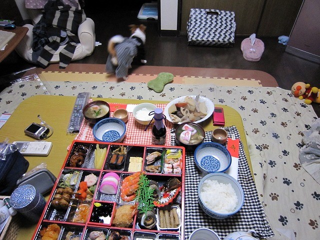 20110101220625