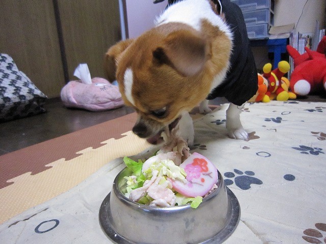 20110101220627