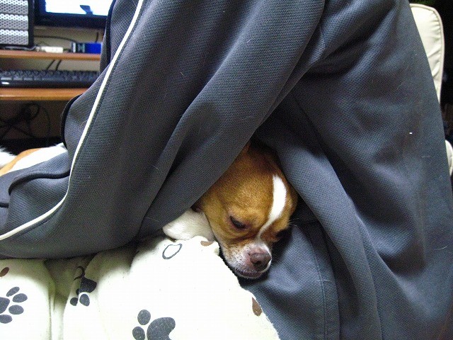 f:id:yasukazu01:20110205221840j:image