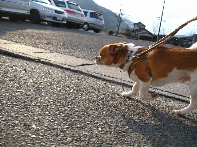 f:id:yasukazu01:20110207222444j:image