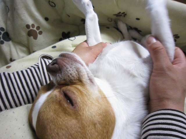 f:id:yasukazu01:20110209220509j:image