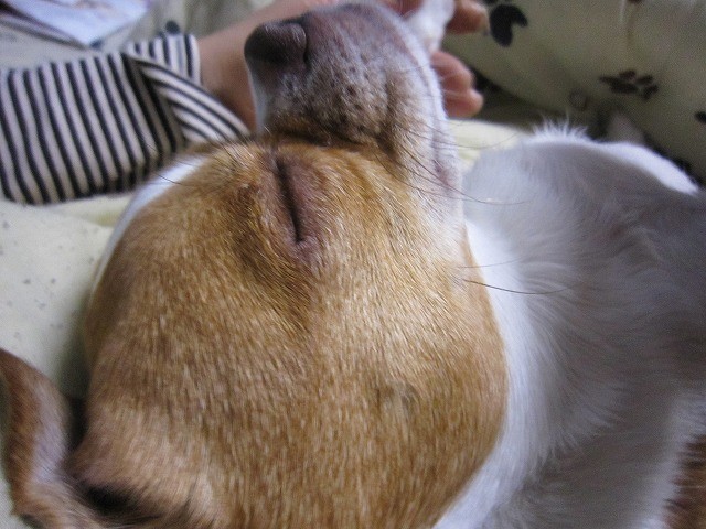f:id:yasukazu01:20110209220510j:image