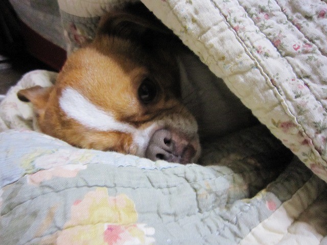 20110217220102