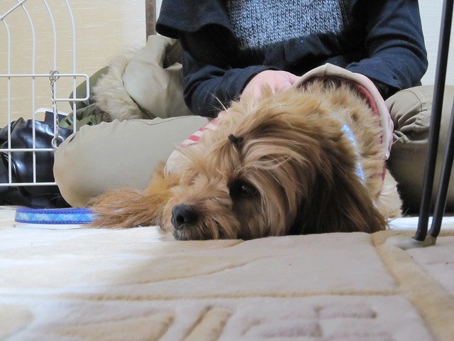 20110223223542