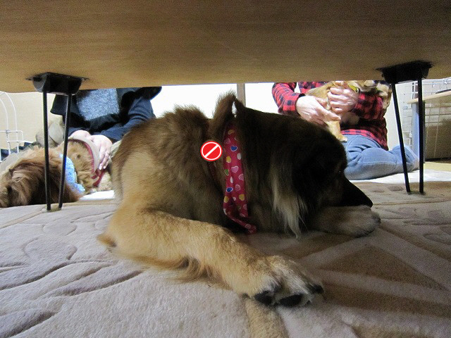 20110223231307