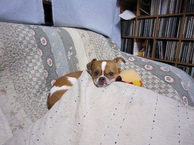 20110306213129