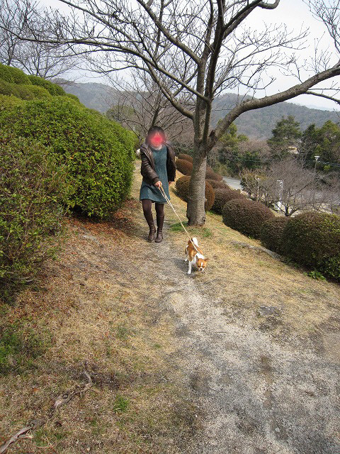 20110307180506
