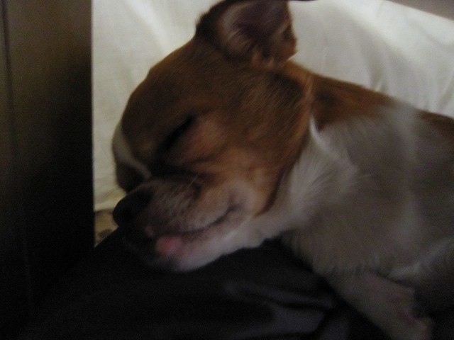 20110310225025