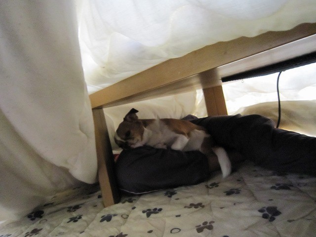 20110310225026