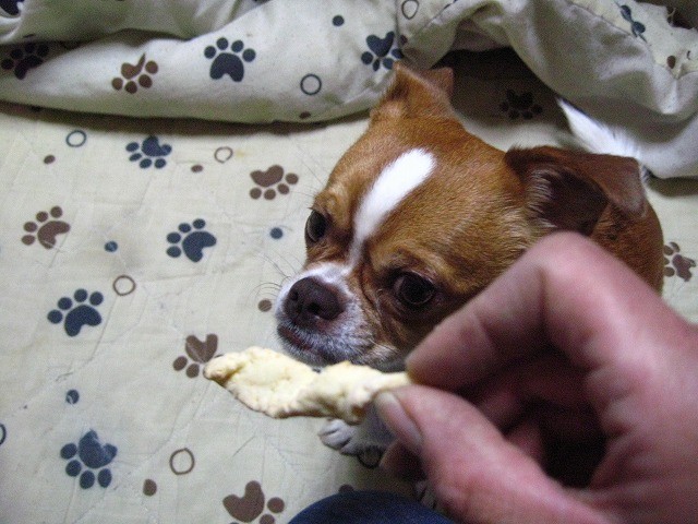 20110317225250