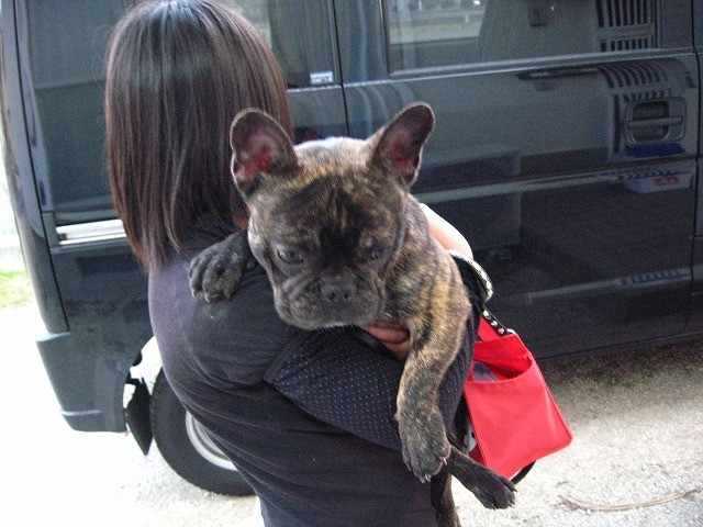 f:id:yasukazu01:20110319215522j:image