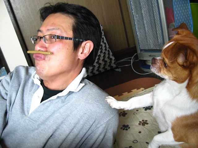 f:id:yasukazu01:20110323215711j:image