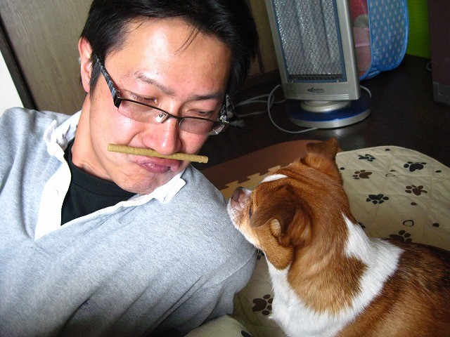 f:id:yasukazu01:20110323215713j:image