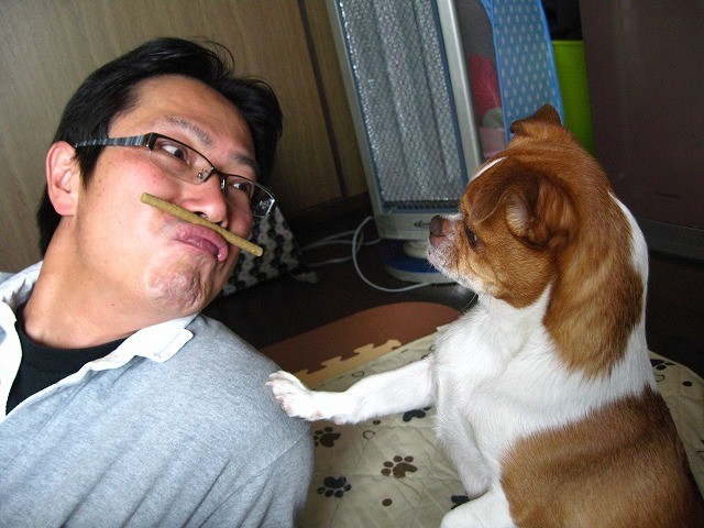 f:id:yasukazu01:20110323220618j:image