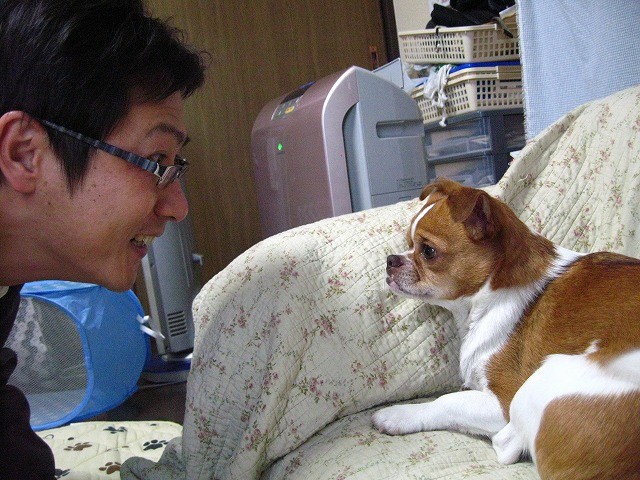 f:id:yasukazu01:20110323220840j:image