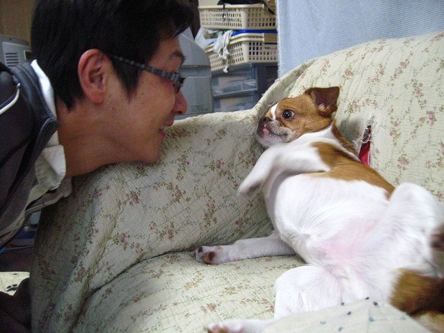 f:id:yasukazu01:20110323220841j:image