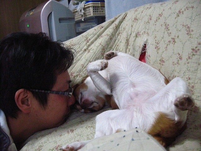 f:id:yasukazu01:20110323220842j:image