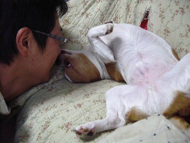 f:id:yasukazu01:20110323220843j:image