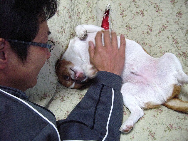 f:id:yasukazu01:20110323220844j:image
