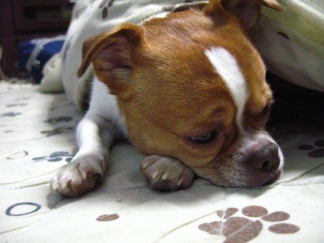 20110326222944