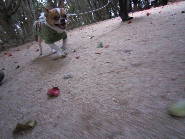 20110329205253