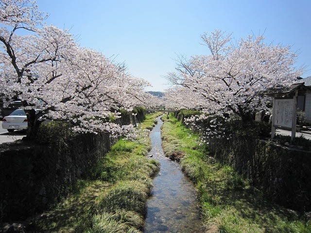 f:id:yasukazu01:20110407203903j:image