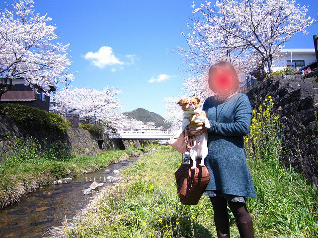 f:id:yasukazu01:20110407203905j:image