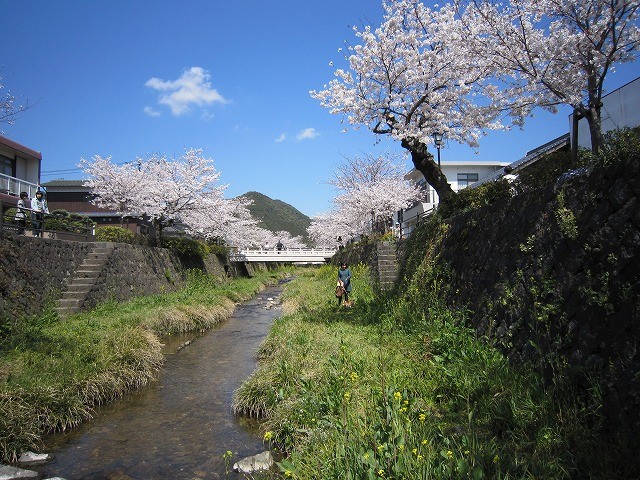 f:id:yasukazu01:20110407203906j:image