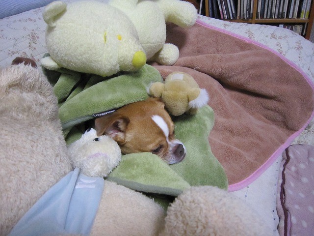 f:id:yasukazu01:20110416214923j:image
