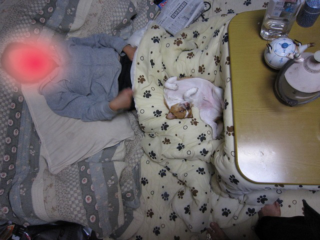 f:id:yasukazu01:20110501223123j:image