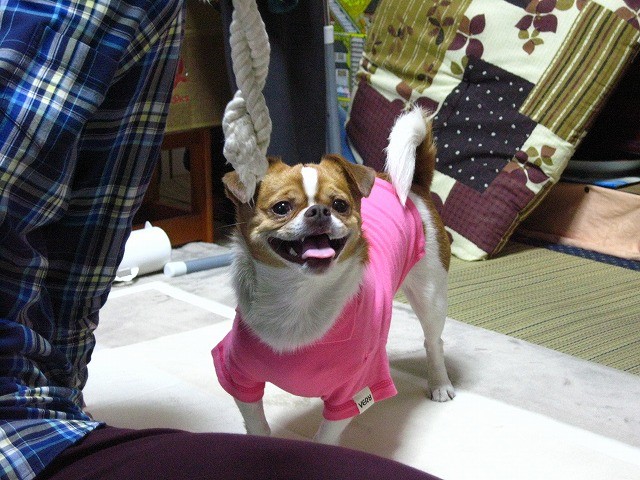 f:id:yasukazu01:20110509213458j:image