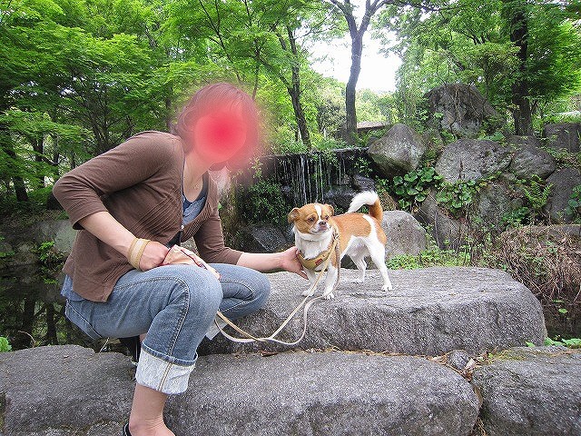 f:id:yasukazu01:20110514220341j:image