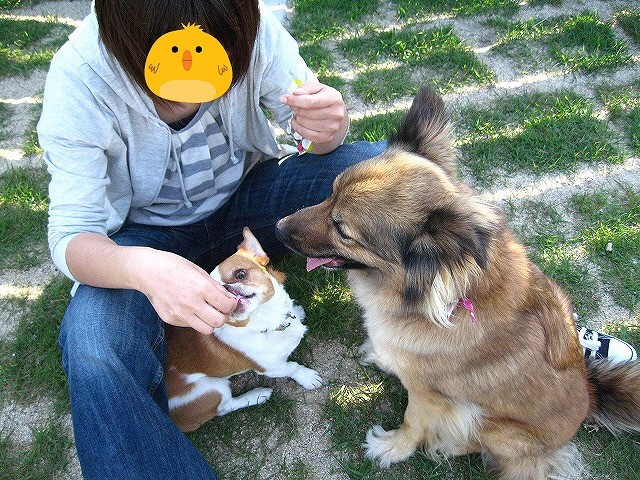 f:id:yasukazu01:20110518222732j:image
