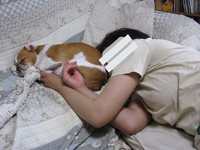 f:id:yasukazu01:20110519220817j:image