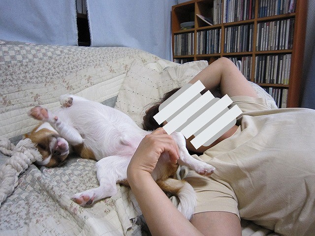 f:id:yasukazu01:20110519220818j:image