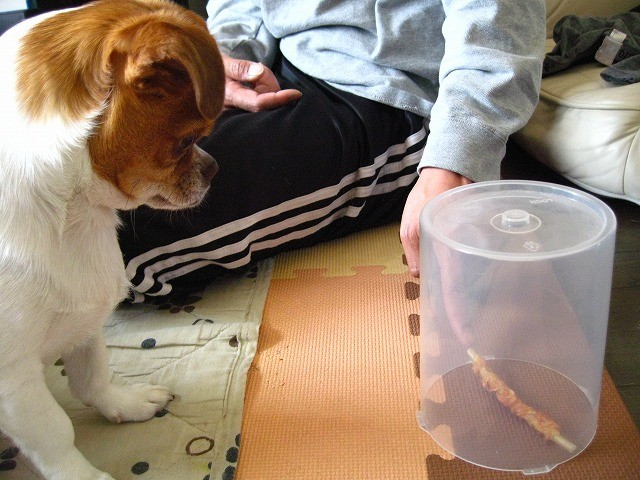 f:id:yasukazu01:20110520211355j:image
