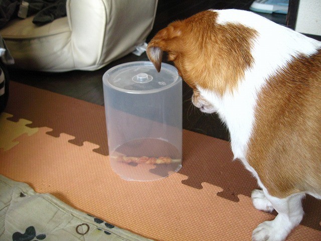 f:id:yasukazu01:20110520211356j:image