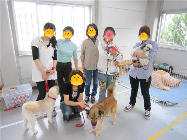 20110521102544