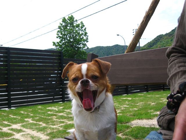 f:id:yasukazu01:20110522123030j:image