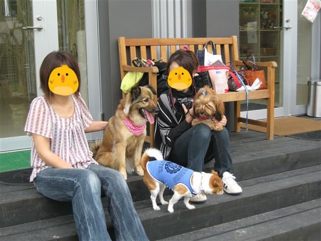 f:id:yasukazu01:20110522142920j:image