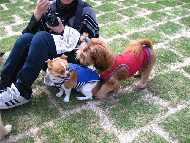 f:id:yasukazu01:20110522145048j:image