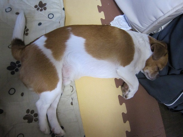 f:id:yasukazu01:20110523220604j:image