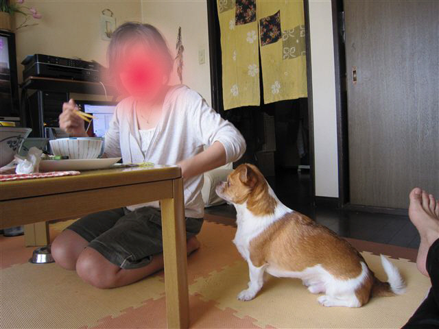 f:id:yasukazu01:20110524120101j:image