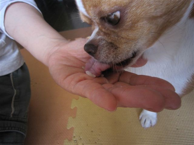 f:id:yasukazu01:20110524120310j:image
