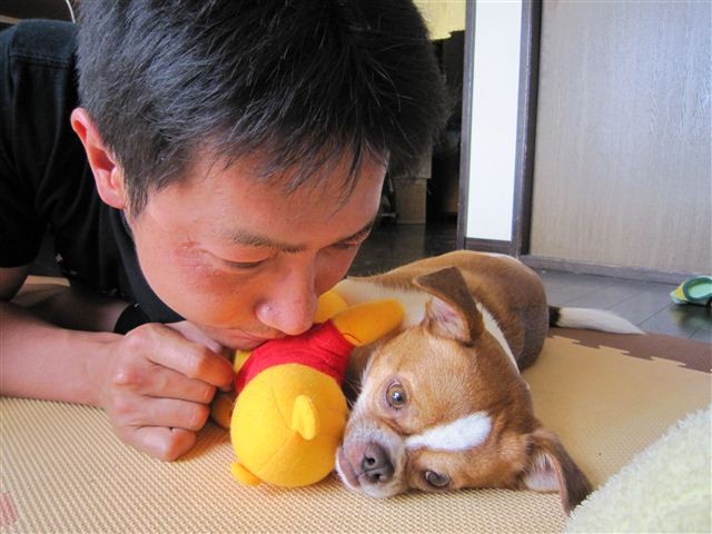 f:id:yasukazu01:20110524123723j:image